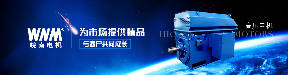 高压电机 高压电机